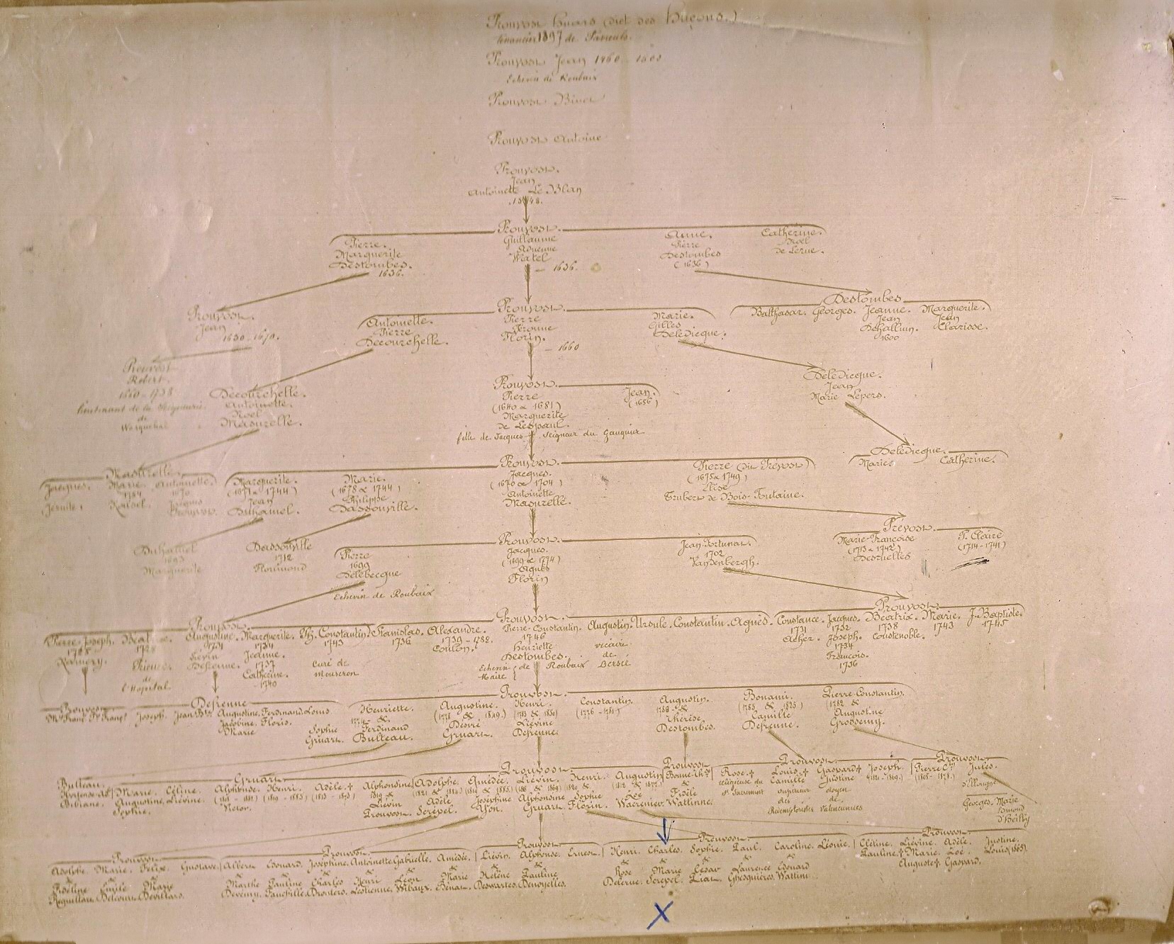 Arbre Généalogique Du Livre Un Secret De Philippe Grimbert